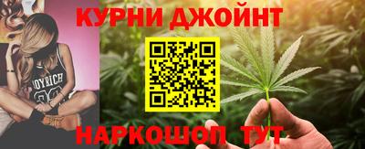 сатива Кинель