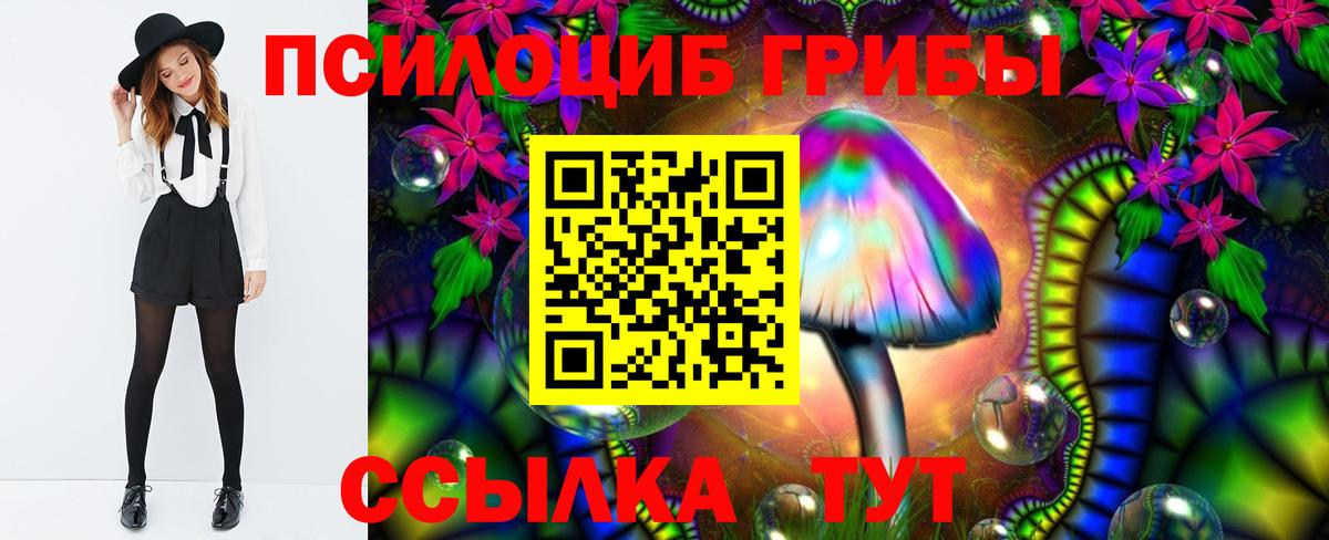 Галлюциногенные грибы GOLDEN TEACHER Бирск