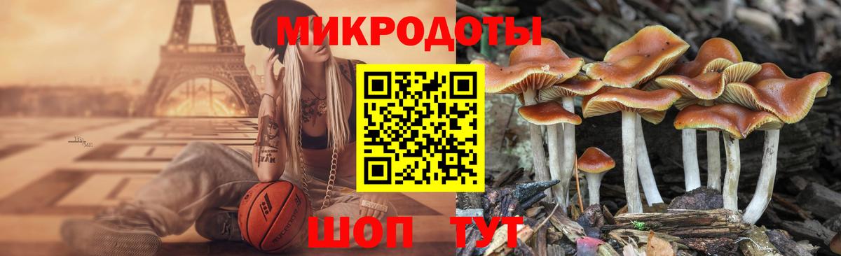 Бирск  Псилоцибиновые грибы мицелий  Вход с VPN 